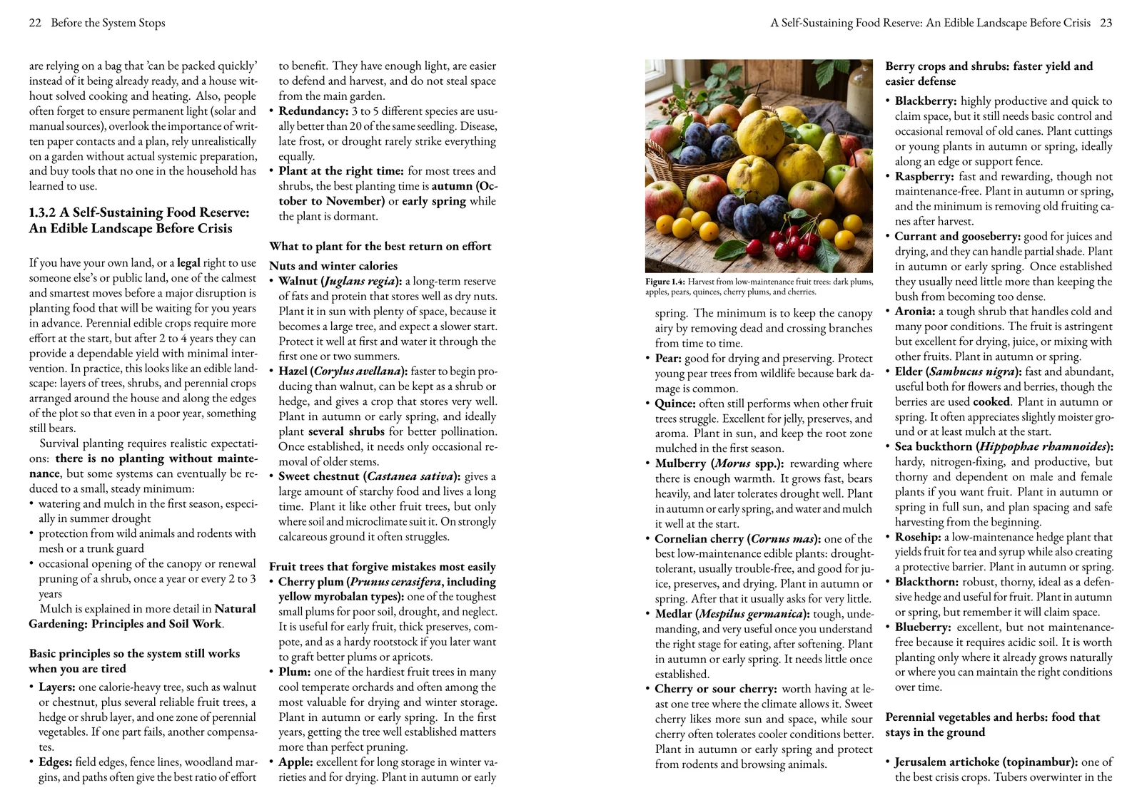 Actual English two-page book spread about preparation and self-sustaining food reserves
