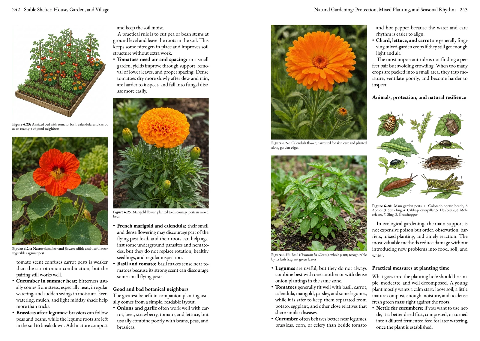 Actual English two-page book spread about mixed planting and natural garden protection